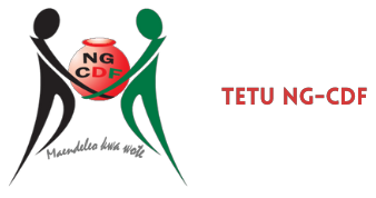 Tetu Logo